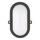 Bailey - Hublot LED Basic Ovale 12W 4000K 910lm IP54 240V Plafonnier / Applique