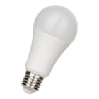 Bailey - True-Light 8009 LED A56 E27 12W 1050lm (75W) 955 Lumière jour DIM 15%-45%-100%