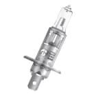 Bailey - OSR 64150 H1 P14.5S 12V 55W 400h Clair Lampe phare Lampe automobile