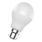 Bailey - TUN LED ECO Ball B22d A55 240V 8W Opale 6500K 770lm (58W) 57x101mm