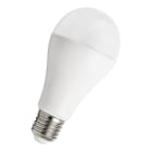 Bailey - Ecobasic LED Standard A65 E27 20W 4000K Opale 2452lm 65x133mm 230V-240V 200°