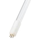 Bailey - PHI UVC HO XPT SE 4 broches 325W Germicide Clair 19x1582mm Lampe UltraViolet