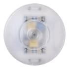 Bailey - Tradim 64310 LED Variateur à pied 2-100W Transparent