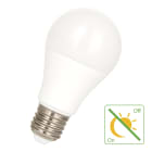 Bailey - Ecoplus LED E27 9W 820lm 2700K Opale 230V Détecteur crépusculaire intégré