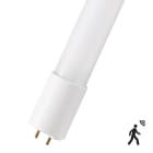 Bailey - Ecoplus T8 LED Tube 29x1200mm G13 18W 2160lm 4000K IRC80 Détecteur + veille 20%