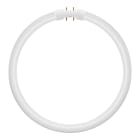 Bailey - LEV Tube LED Circulaire T5 2GX13 11.6W (22W) 3000K 1550lm 225x20mm 120° 33V