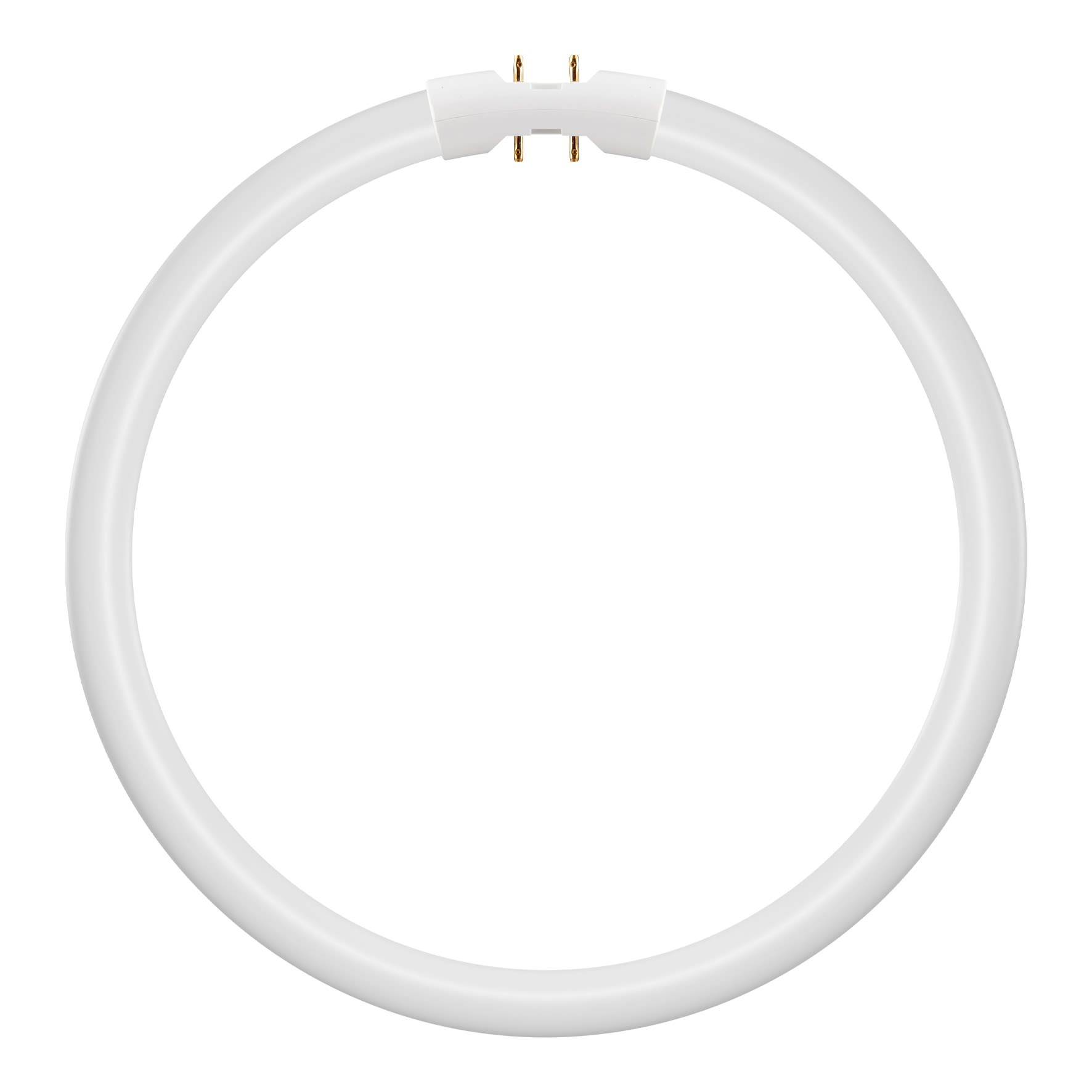 Bailey - LEV Tube LED Circulaire T5 2GX13 21.5W (40W/55W) 4000K 3200lm 300x20mm 120° 33V