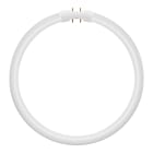 Bailey - LEV Tube LED Circulaire T5 2GX13 21.5W (40W/55W) 3000K 2900lm 300x16.5 120° 33V
