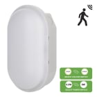 Bailey - Hublot LED Bulkhead Switch 2CCT détect. HF 6W-8W 3000K-4000K IP54 IK08 165x95mm