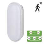 Bailey - Hublot LED Bulkhead Switch 2CCT détect. HF 7W-16W 3000-4000K IP54 IK07 225x100mm