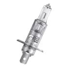 Bailey - OSR 64150 H1 P14.5S 12V 55W 400h Clair Blister Lampe phare Lampe automobile