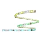 Bailey - CAL Smart WIFI Ruban LED 5M 240V RGBIC+CCT Installer via WIFI 2.4GHz Calex App