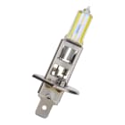 Bailey - BEE H1 P14.5s 12V 55W Classic Or 2pcs Lampe phare Lampe automobile