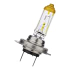 Bailey - BEE H7 PX26d 12V 55W Classic Or 2pcs Lampe phare Lampe automobile