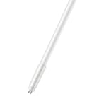Bailey - PHI Master T5 HE LED Tube 19x549mm G5 7W (14W) 4000K 1050lm Verre 220V-240V AC