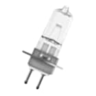Bailey - OSR 64260 PG22 9X40mm 12V 30W 12V M/185 3300K 50h Clair lampe médicale