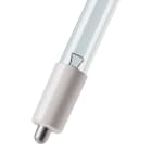 Bailey - PHI UVC TUV 36T5 SP Tube Single Pin 40W Germicide Clair 16x845mm Lampe UltraViol