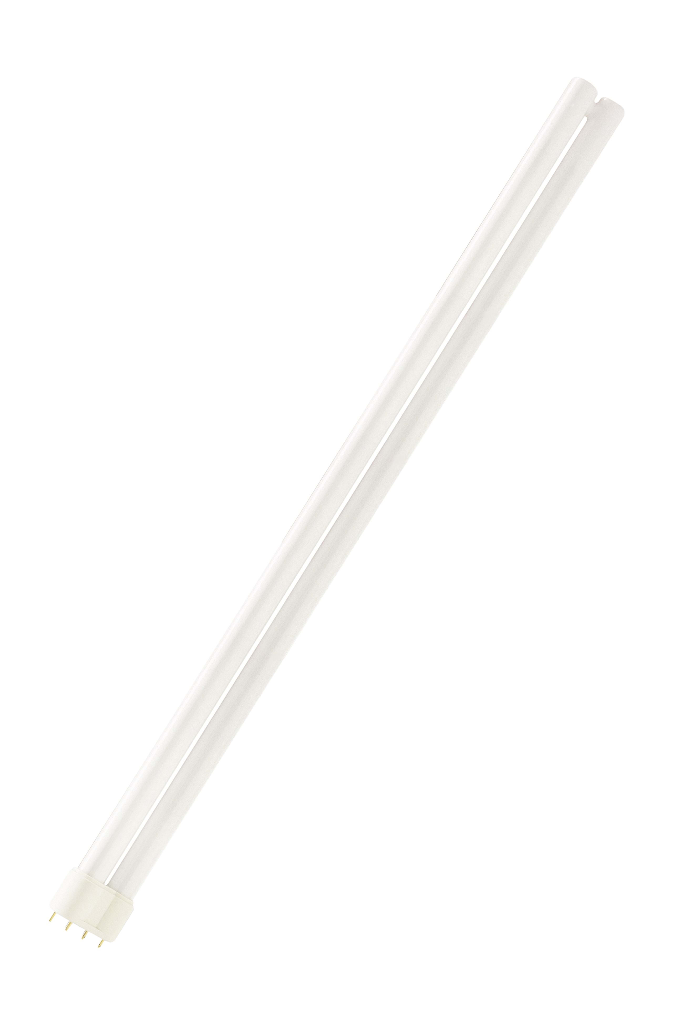 Bailey - PHI Lampe fluocompacte MASTER PL-L 40W/840/4P