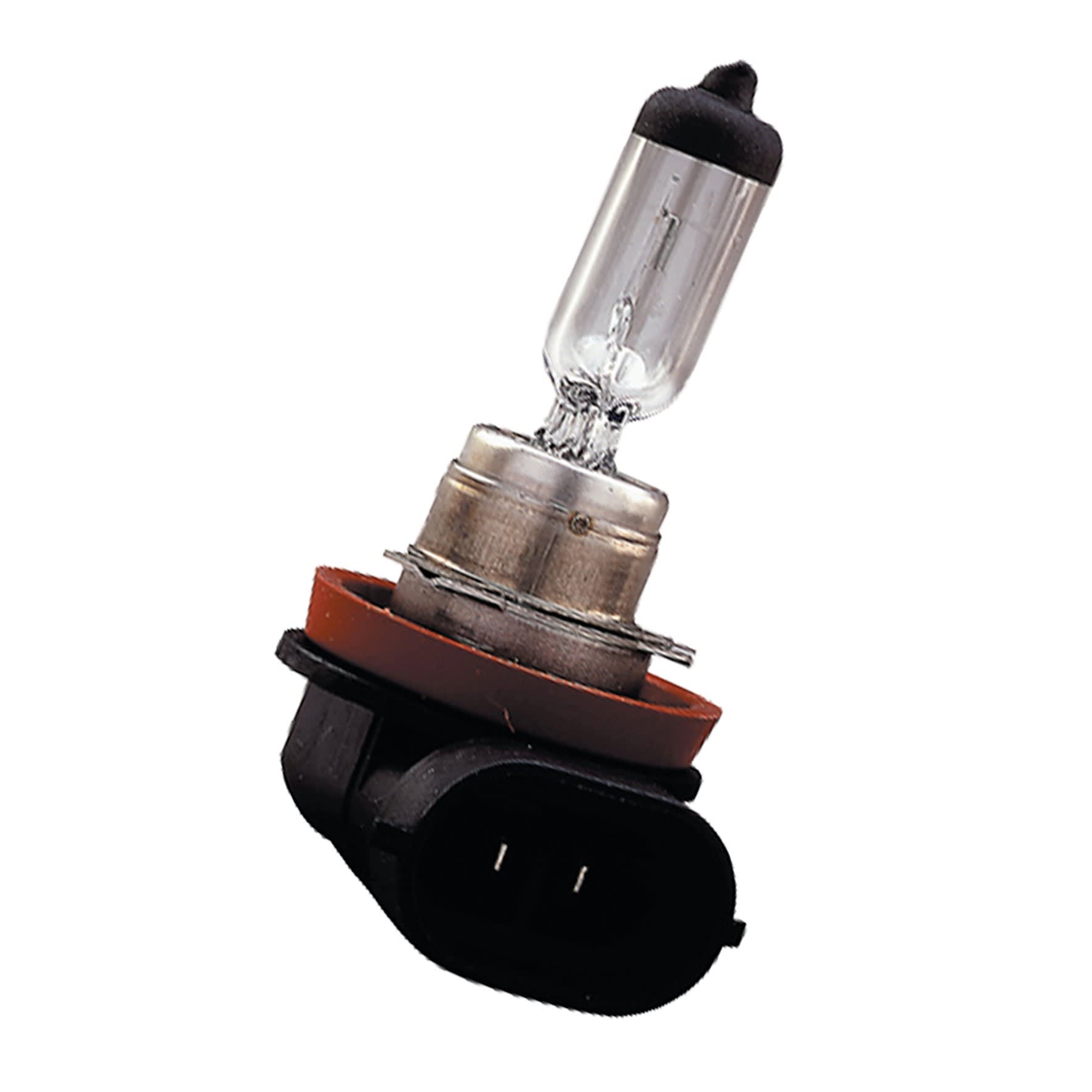 Bailey - H11 PGJ19-2 24V 70W Calotte noire Halogène 11.6x59mm Lampe phare automobile