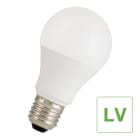 Bailey - LED Standard A60 E27 7W 3000K Opale 470lm (40W) Basse tension 12V-60V AC/DC