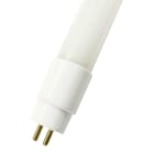 Bailey - Tube LED Ecoplus T5 AC 16x517mm G5 8W (13W) 4000K 880lm Verre 270° Direct 230V