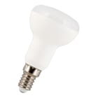 Bailey - LED Réflecteur R50 E14 7W 6400K 640lm (75W) 230V-240V 120° 50x86mm