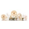 Vignette Photo produit ambiance 5