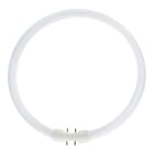 Bailey - BEE Tube fluorescent TL5 Circline 2GX13 18x379mm 60W 5000lm 3000K