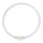 Bailey - PHI Lampe fluocompacte MASTER TL5 Circulaire 2GX13 22W 840