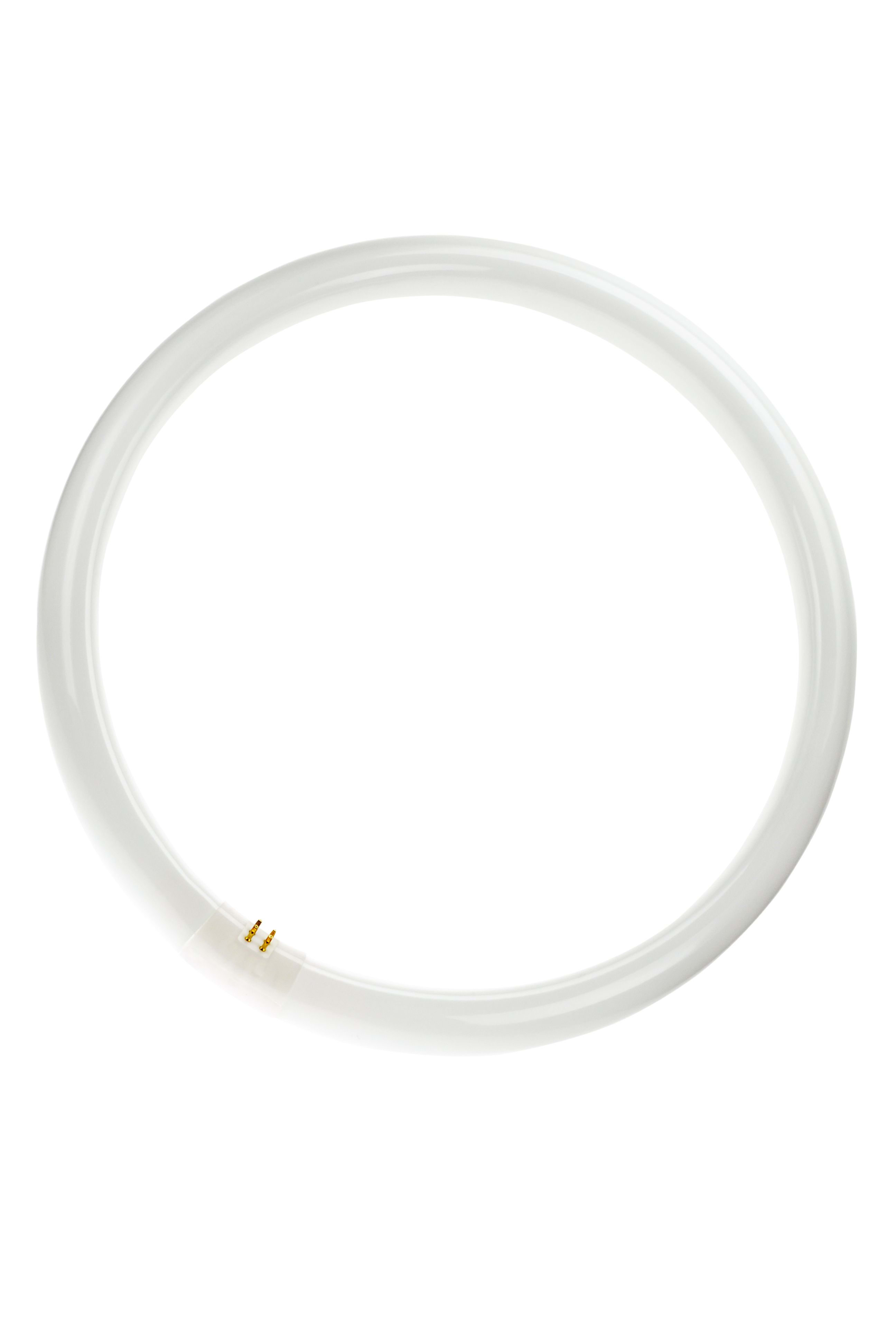 Bailey - PHI Tube fluorescent TL-E G10q 32W 4000K 2375lm