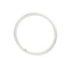 Bailey - PHI Tube fluorescent TL-e G10q 40W 4000K 3200lm