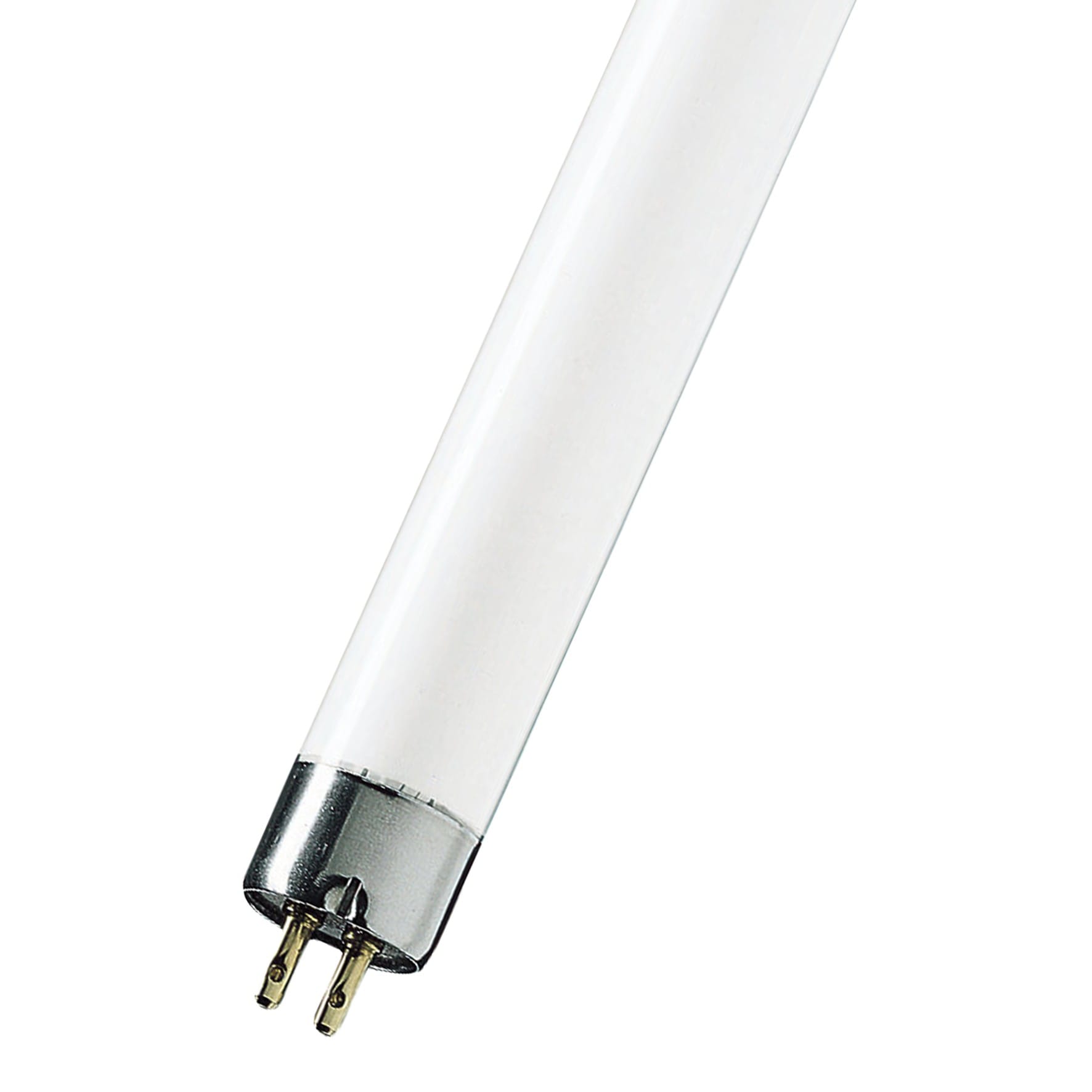 Bailey - PHI Tube fluorescent TL Mini G5 150mm 4W 33-640 BAES BAEH