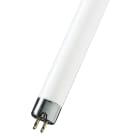 Bailey - PHI Tube fluorescent TL Mini G5 150mm 4W 33-640 BAES BAEH