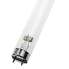 Bailey - Tube Germicide T8 UVC 36W G13 TUV HNS Clair Gainé HACCP 26x1200mm - Désinfection