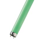 Bailey - PHI Tube fluorescent TL-D Couleur G13 1200mm 36W Vert