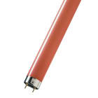 Bailey - PHI Tube fluorescent TL-D Couleur G13 1200mm 36W Rouge