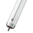 Bailey - BAI Tube fluo spécial TL-X Fa6 20W/33 Blanc Froid 38x600mm 885lm 4100K 3000h