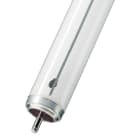 Bailey - PHI Tube fluorescent TL-X XL Fa6 40W/33-640 40x1220mm amorçage externe