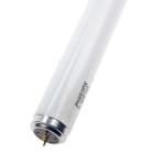 Bailey - TL 60W/10-R SLV/25 Lampe UltraViolet (UV) pour pièges à insectes