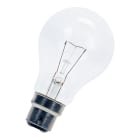 Bailey - BEE Basse tension Standard A60 B22d 24V 25W Clair 60x105mm Lampe incandescente