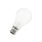 Bailey - Lampe incandescente basse tension Standard A60 B22d 50V 40W Dépoli 60x108mm