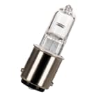 Bailey - Halogène Traffic Light Ba15d 10V 50W Clair 2800K 13557 11x50mm Lampe feux