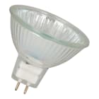 Bailey - BEE MR16 GU5.3 28V 20W 36D Clair 2000h 50.67x45mm Lampe halogène TBT