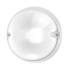 Performance in Lighting - Chip Tondo 30 Blanc