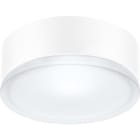 Performance in Lighting - DROP 28 LED 16W SMD 3000K ANTR