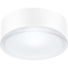 Performance in Lighting - DROP 22 LED 11W SMD 3000K ANTR