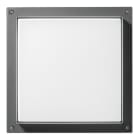 Performance in Lighting - Bliz Square 40 Led 39W 4000K Anthracite - 304651