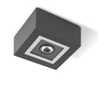 Performance in Lighting - Mimik 10 Ceiling C/I20 Applique Led 10W IP65 IK06 612lm 3000K Anthracite