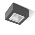 Performance in Lighting - Mimik 10 Ceiling tech Applique Led 10W IP65 IK06 822lm 4000K Anthracite