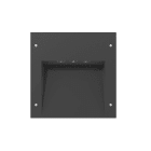 Performance in Lighting - Insert+3 24 A/W 730 An96